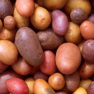A-peeling potatoes - Thanksgiving sides
